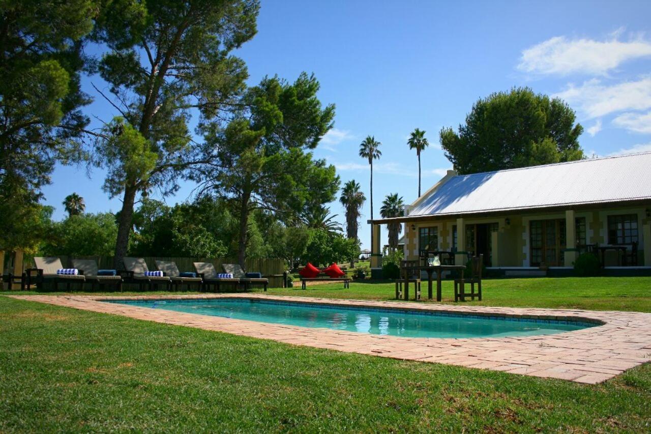 De Denne Country Guest House Oudtshoorn Kültér fotó